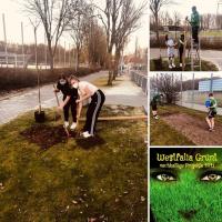 Zwei Personen arbeiten im Freien und pflanzen in einem Beet.
