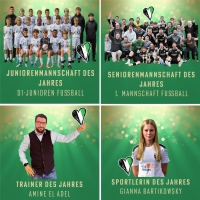 Collage mit Sportpreisträgern des Jahres im Fußball: Dazu gehören ein Junioren- und ein Senioren-Team, der Trainer sowie die Sportlerin.